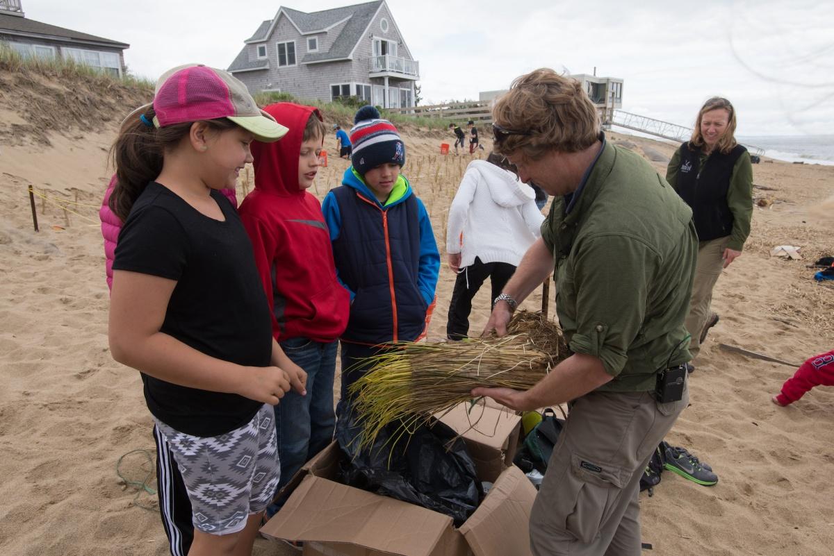 研究人员在海滩上向小学生展示沙丘草