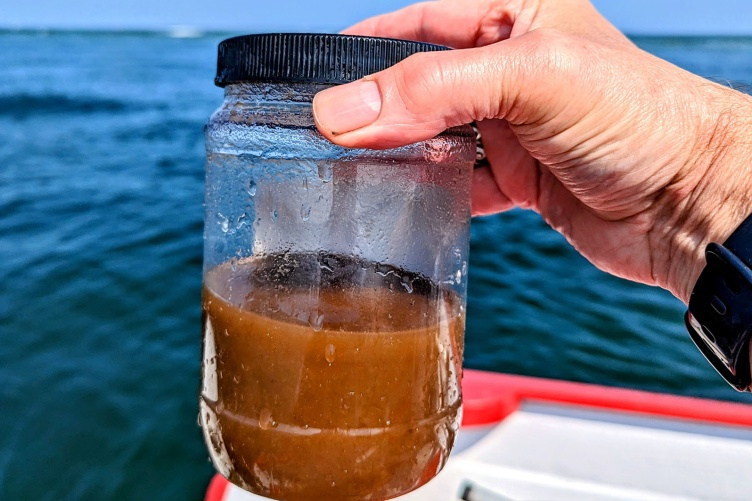 一只手拿着一个透明的罐子，里面装着半瓶棕色的水，背景是海洋.