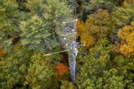 秋季森林中研究塔的无人机图像